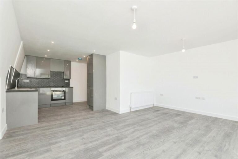 Rear Extension — Open-Plan Kitchen & Living Space — Alpha London Builders